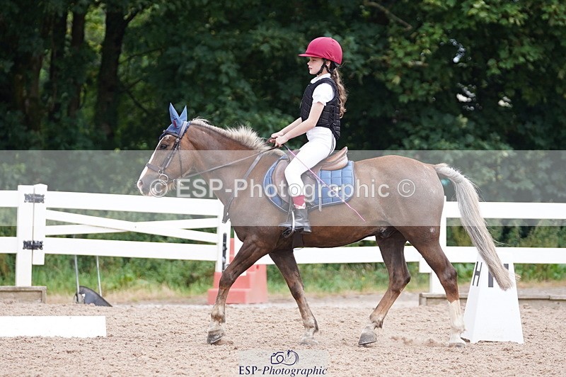 240809A-104714-00660 - Dressage Competition