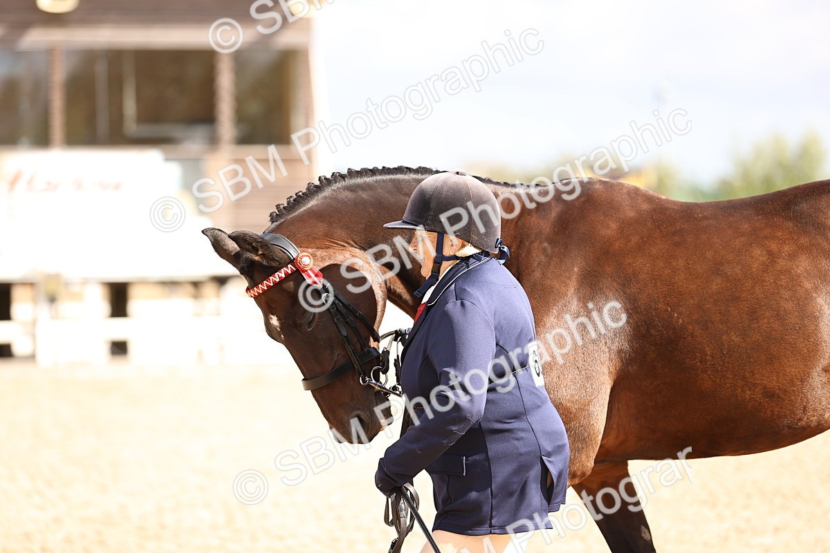SBM_11529 - Class 407 - IH Hack-Riding Horse