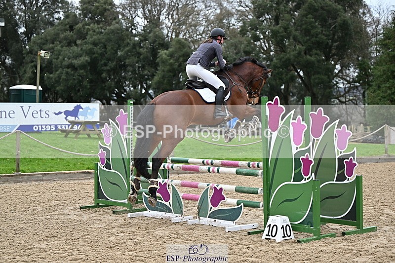 250201A-093401-00010 - Cls 01 Local Horse 90cm