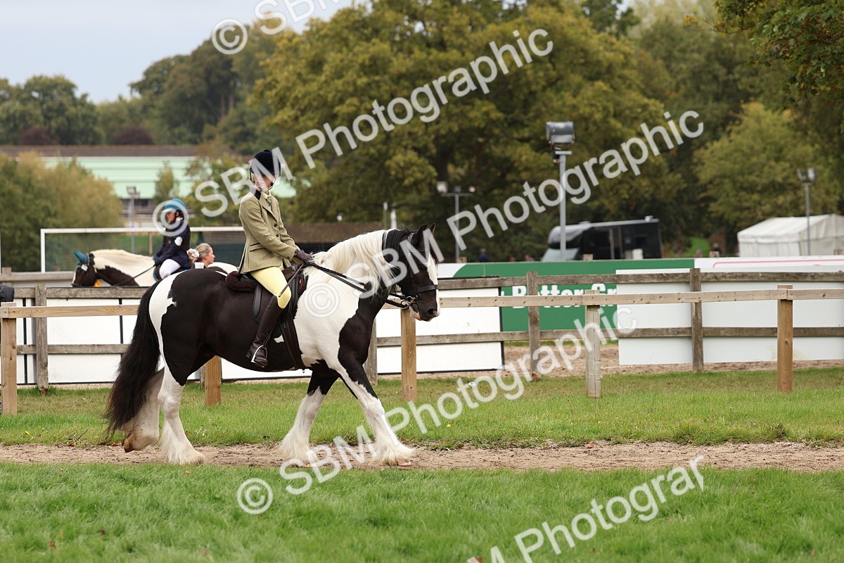 SBM_64402 - S58 - Coloured Pony Ridden
