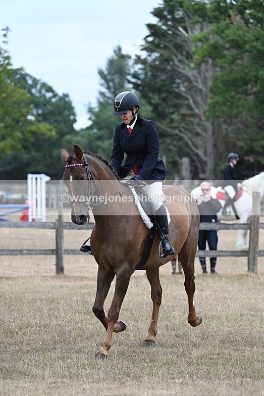 WJ7_0867 - Class 7 Riding Club Show Horse