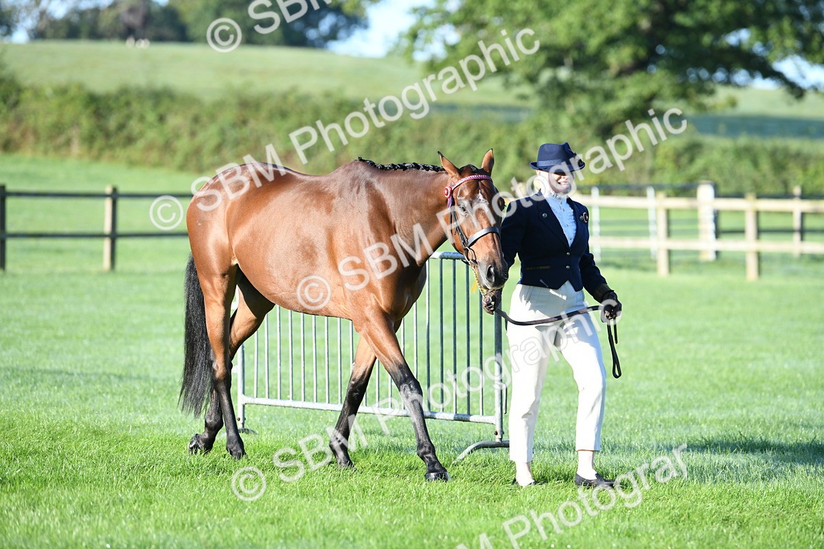 SBM_32877 - S15 - Condition & Turnout In Hand