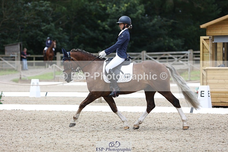 230812-115943-03902 - Cls 5 Novice Bronze 11.15 to 12.50 break