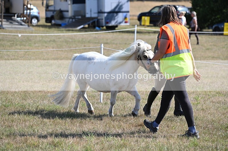 WJ6_4192 - Class 16 Condition & Turn Out