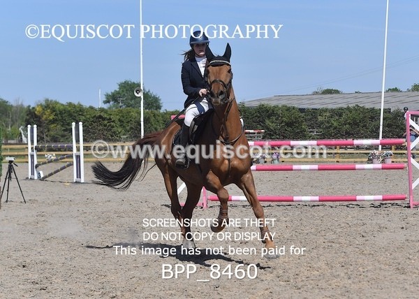 BPP_8460 - CLASS 7 Senior Foxhunter/ 1.20m Open