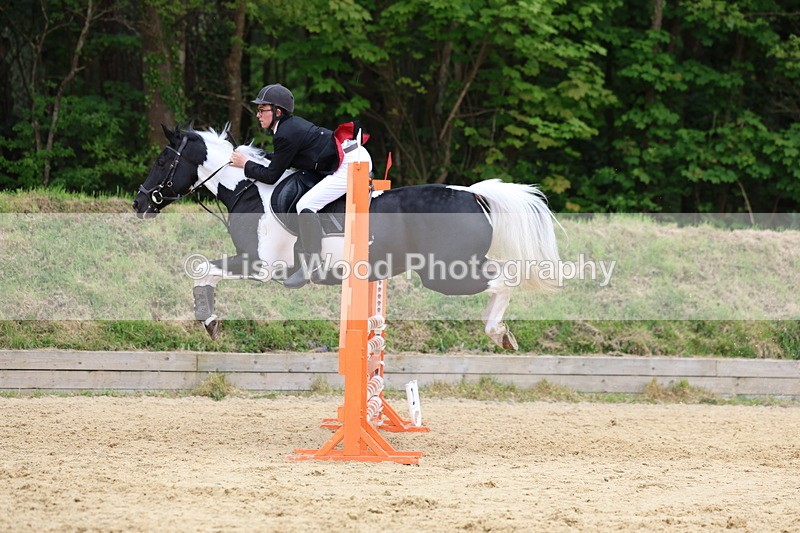 3E7A6504 - Class 4: Senior British Novice/90cm open