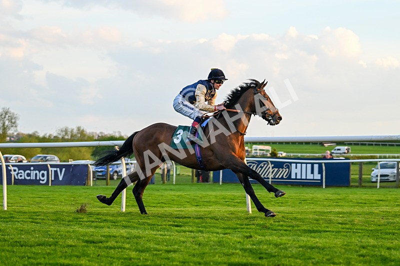 300424-Race 6-Kodi Lion-3100 - Race 6