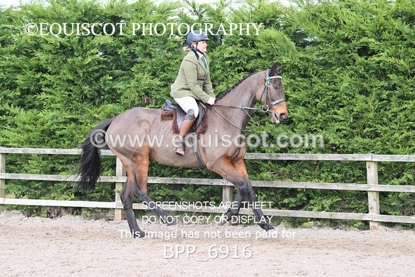 BPP_6916 - RING 1  (RIDDEN HORSES / IN HAND / VETERAN ETC)