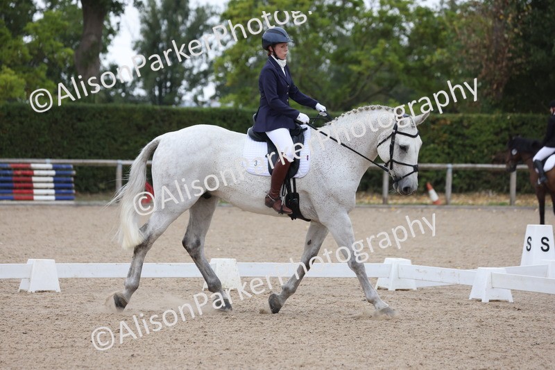 20250820-0325 - Class 11 - My Quest Novice 3