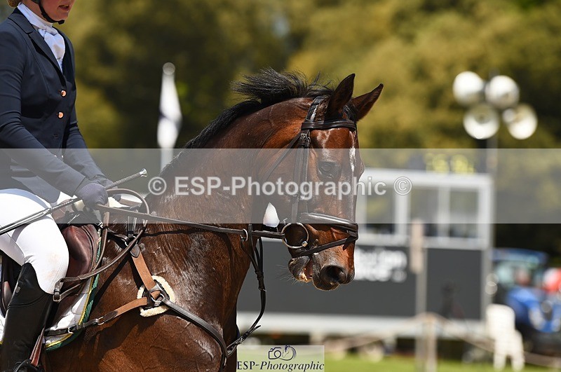 230527-132032-10735 - 412-SAN_SOLO-Imo_Brook-SJ