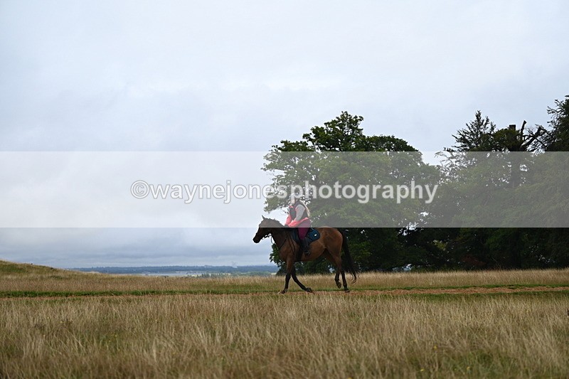 DSC_3935 - Time at Statue 14:56 to 15:05