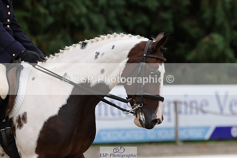 240810-161301-04173 - 155-Debbie.Squires-Mystic.Spirit