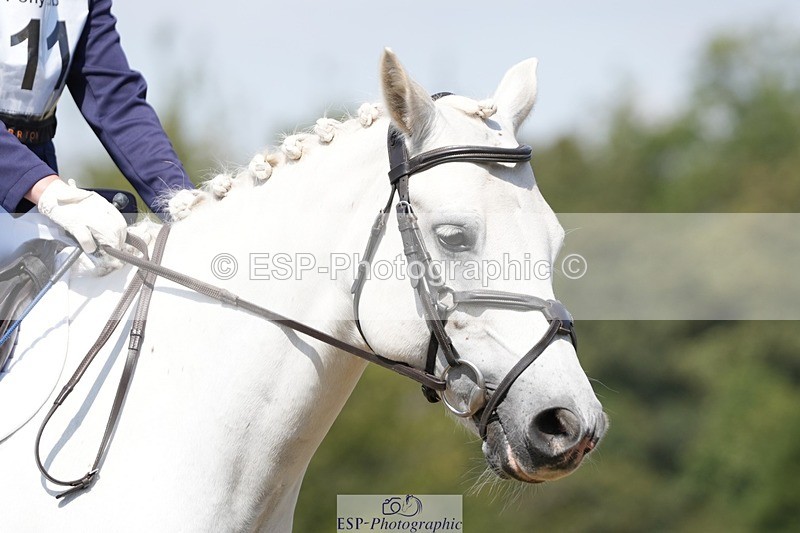 250823A-123251-29309 - Arena A