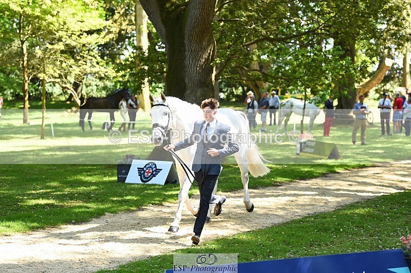 230524-151322-00141 - 313-LOUISBOURG_C-Jack_Whiteford-WEDTrotUp+DR