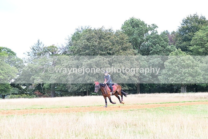 DSC_8904 - Time at Statue 14:33 to 15:10