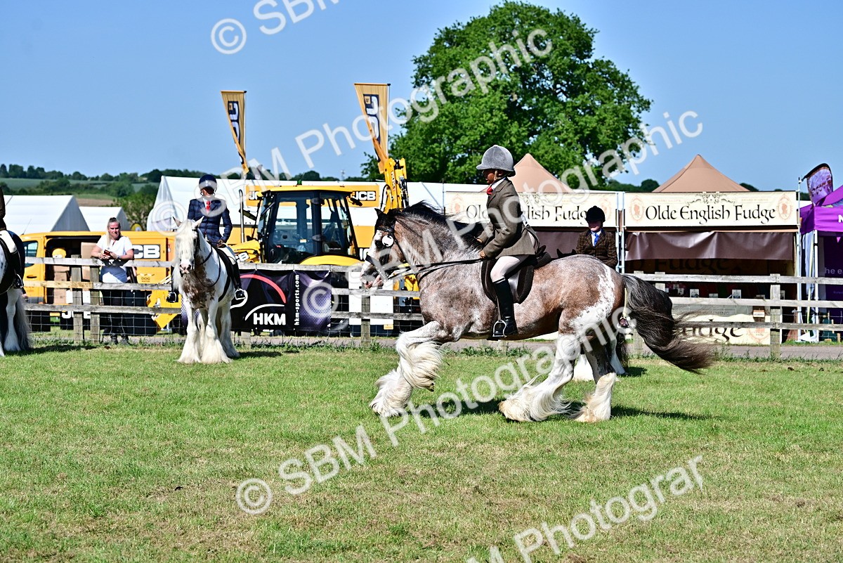 SBM_19433 - Class 101-102 - BSPS LIHS Performance Coloured Horse/Pony