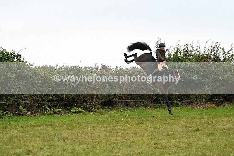 WJ7_4136 - Camera 1 Line 2