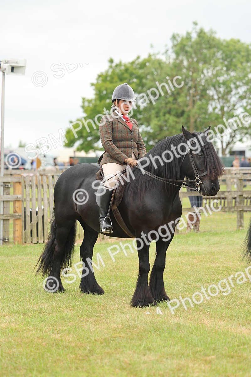 SBM_09007 - Class 78-80 - Ridden M&M Non Welsh Ponies