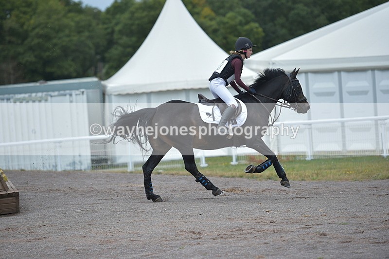 NGP_2017 - XC Time 11:20 to 11:36