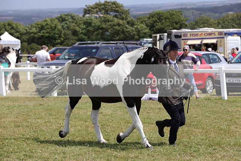 1X9A4817 - Class 35: Veteran In Hand