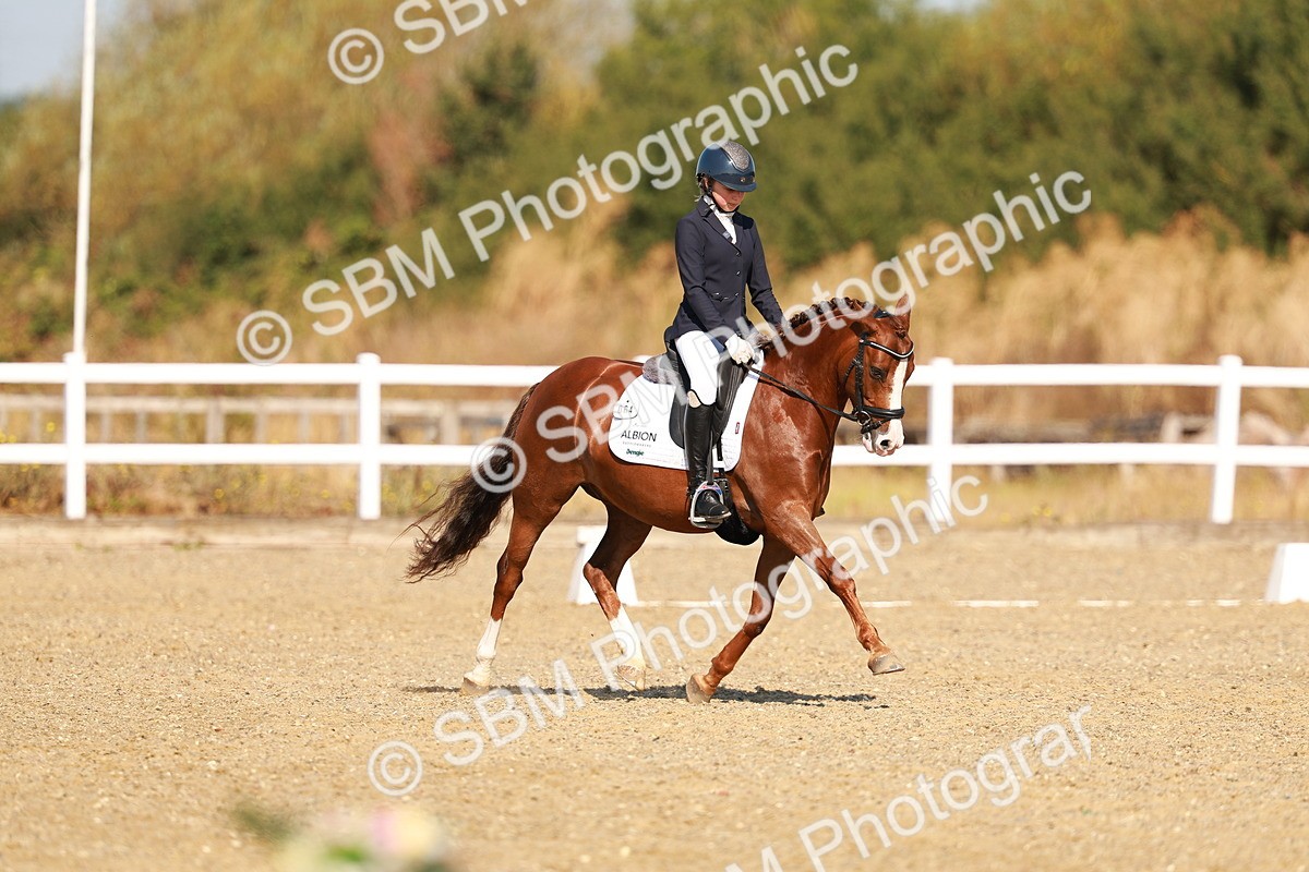 SBM_016822 - Class 9 - N5 Bronze 9.30.10.19