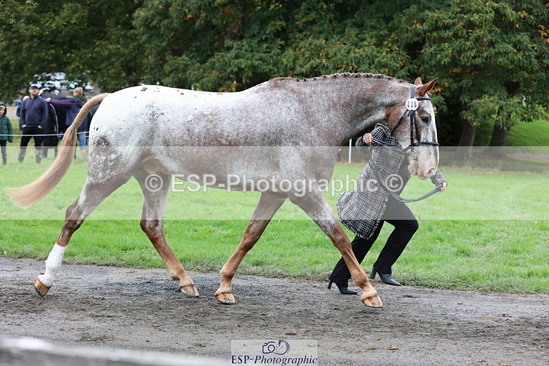 251026A-113243-25512 - F-426-Tracey.Neville