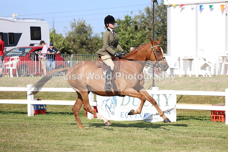 3E7A5545 - Class 2: Rising Star Large Hack/Riding Horse
