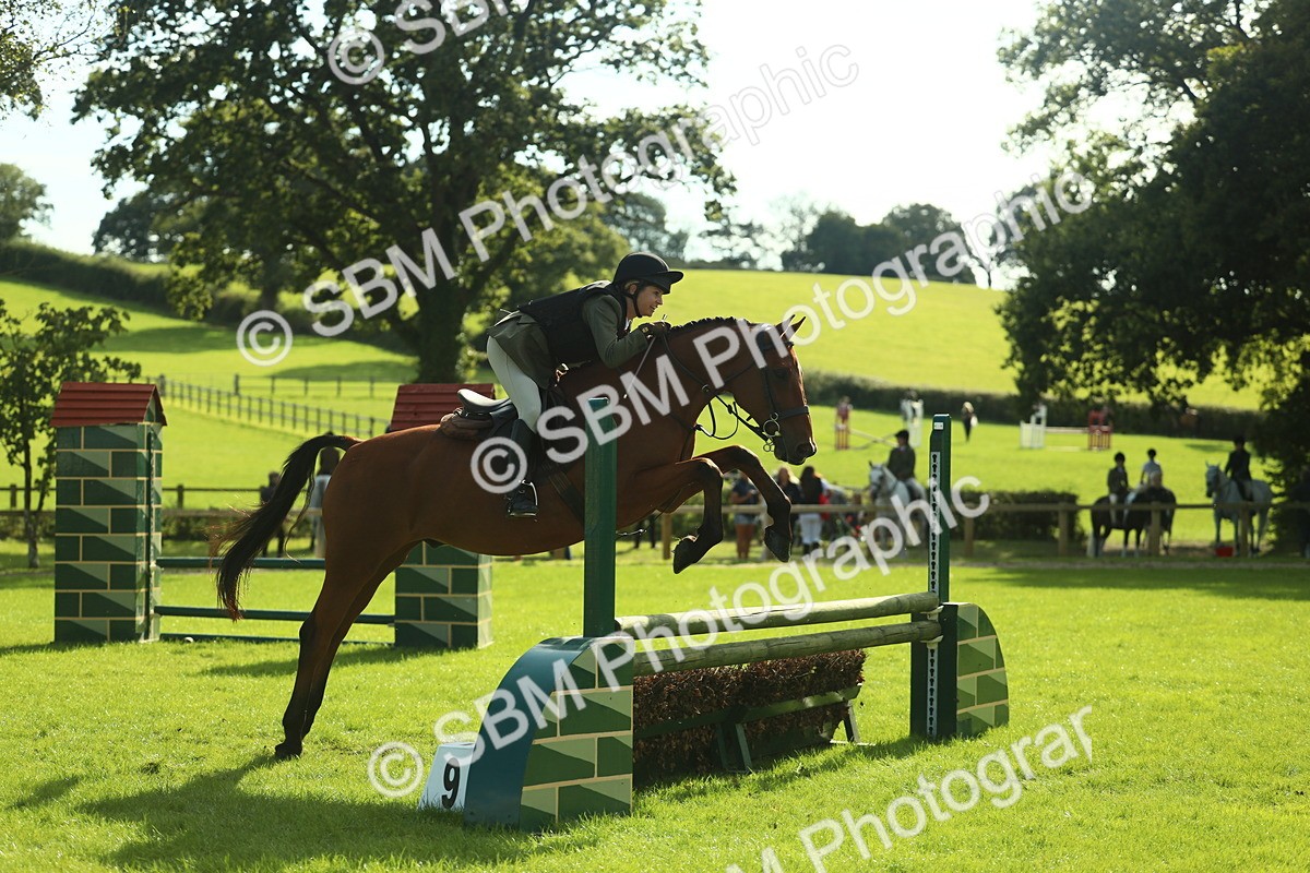 SBM_50571 - S33 - Working Hunter & Working Show Horse