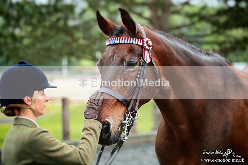 BSHA 030526 796a - Equestrian