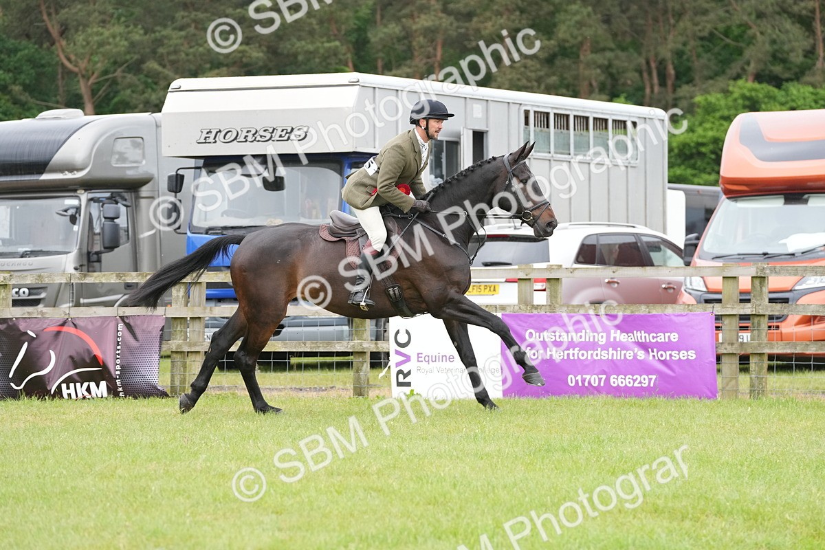 SBM_12842 - Class 97-98 - LIHS BSHA Rising Star Working Show Horse Hunter