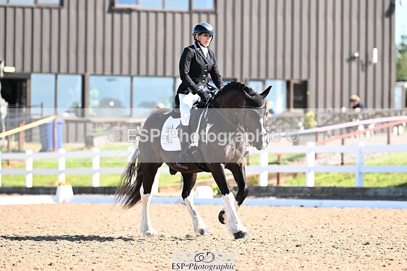 240816A-101720-03792 - 148-Donna.Willis-Cerrighedd.Yago