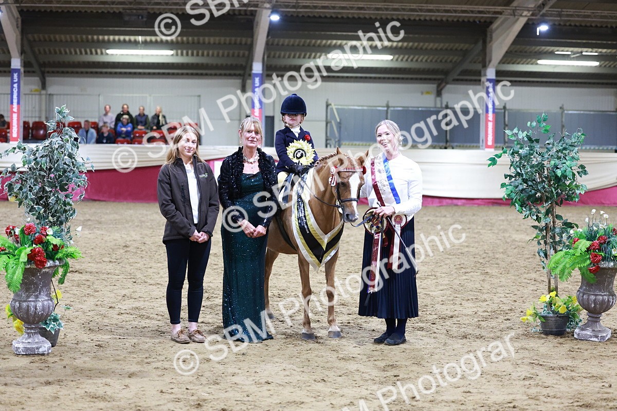 SBM_20586 - Class H - IH Competition - Riding Club champ