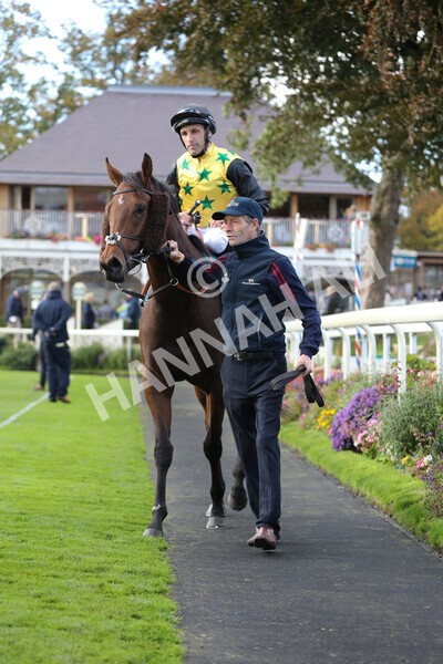 yr07102022r5-30 - Race 5 4.25pm Copper Knight Winningmost Horse Stakes