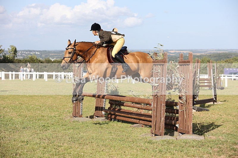 JPP_3188 - Class 21: Working Hunter 80cm