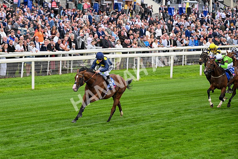 130626-Race 2-Extremely Zain-0899 - Race 2 14.25pm Sky Bet Supporting Macmillan Handicap