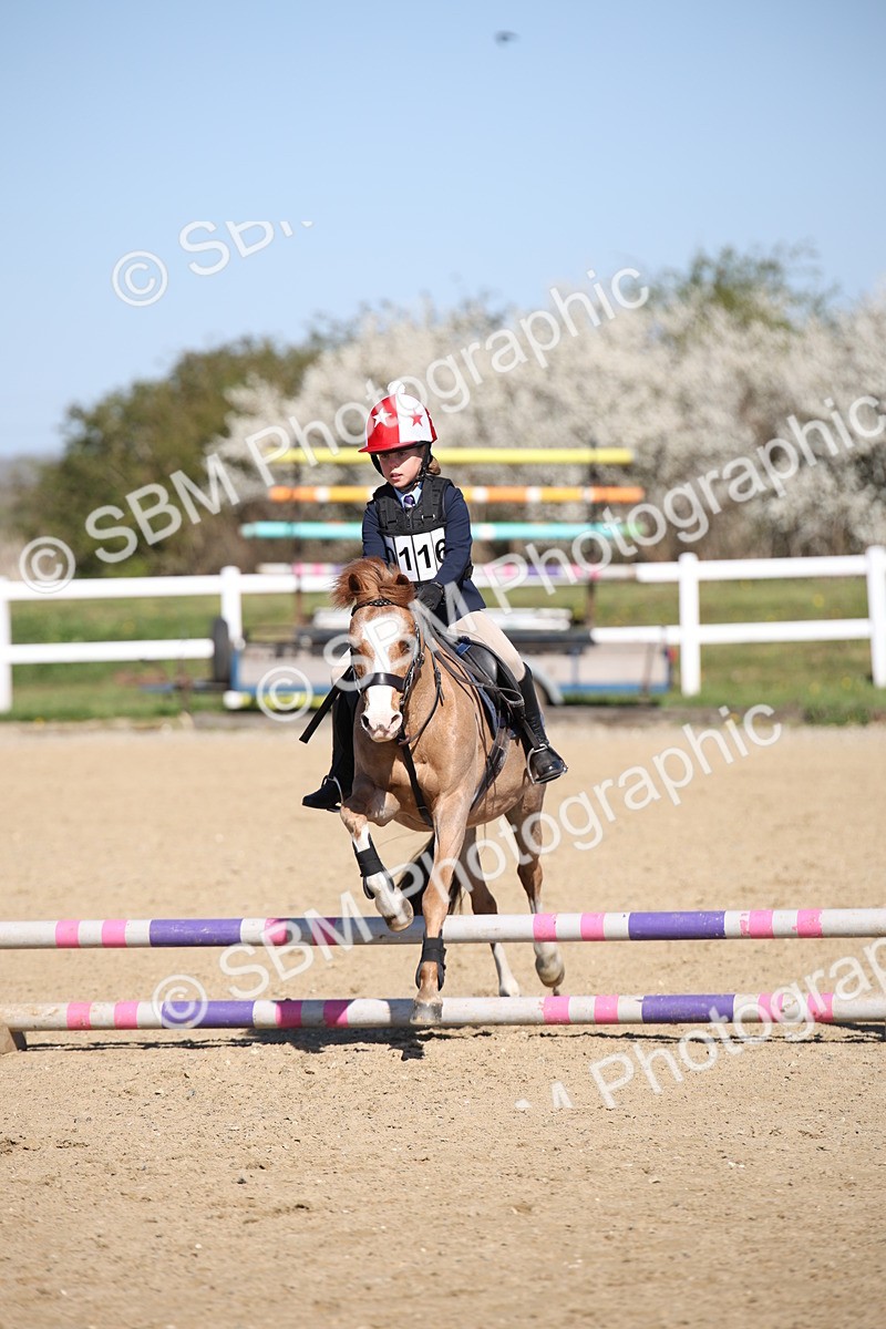 SBM_000783 - Class 2 - 50cm