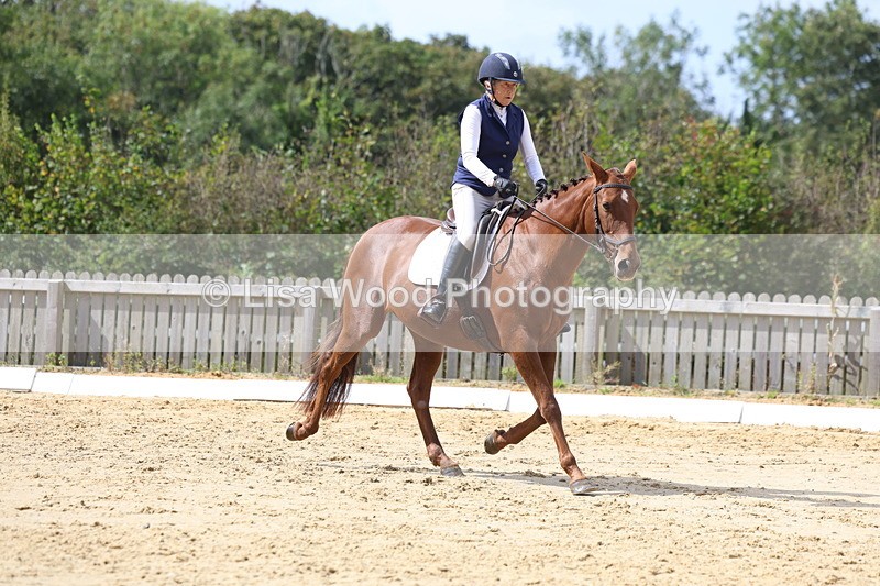 3E7A3978 - Class 9: Novice 6 Section B Championship