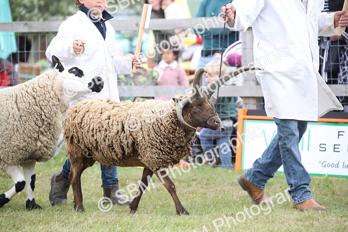 SBM_07779 - Grand Parade