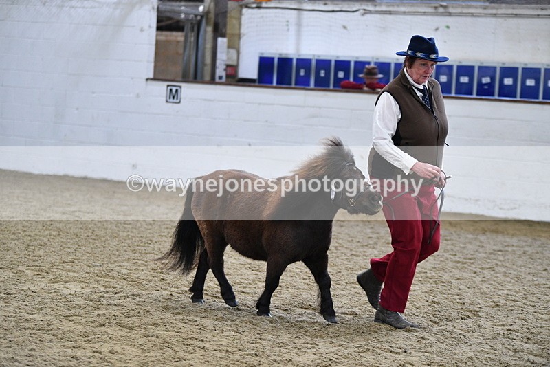 WJ5_5474 - Class 4 In hand M&M - small breeds