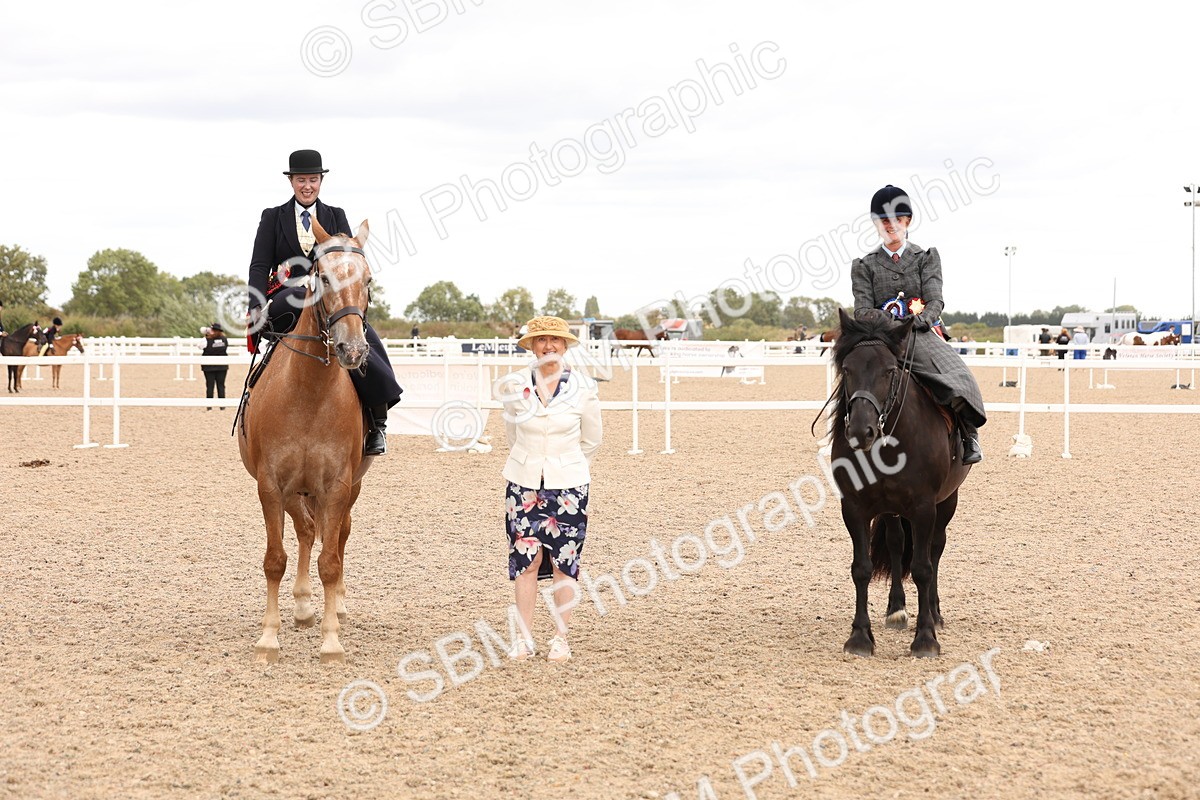 SBM_16446 - Class 211 - Best Side Saddle Horse - Pony