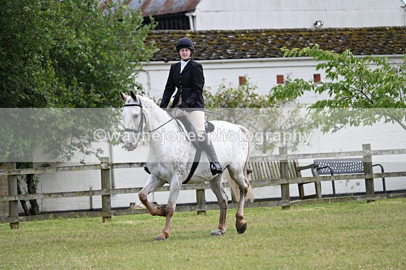WJ7_8359 - Class 7  Riding Club Show Horse