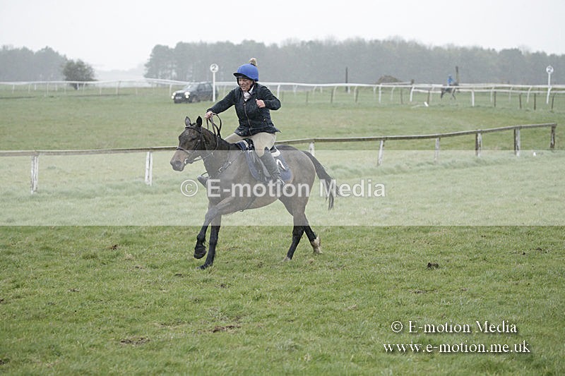 PtP 150320 0065 - New Forest Point-to-Point Larkhill 15/03/20