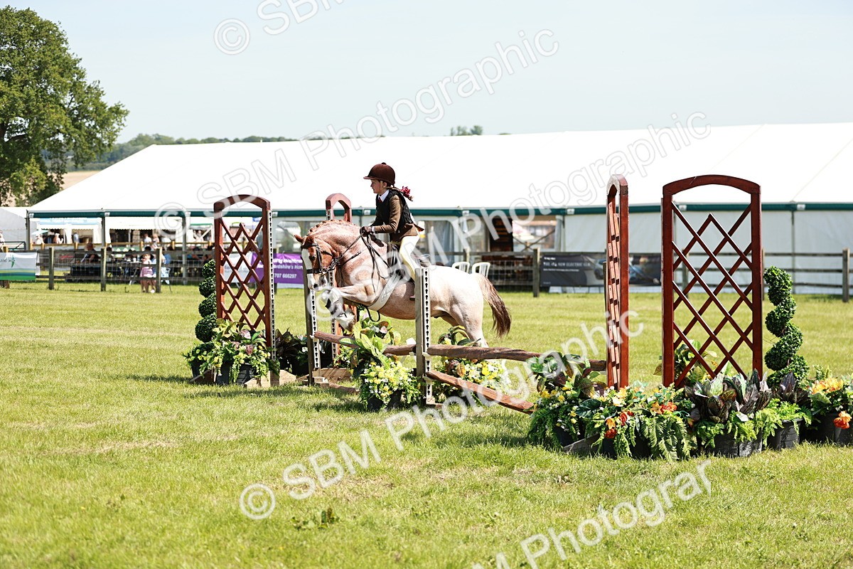 SBM_13505 - Class 108-109 - BSPS LIHS Open Gradle & Nursery Stakes