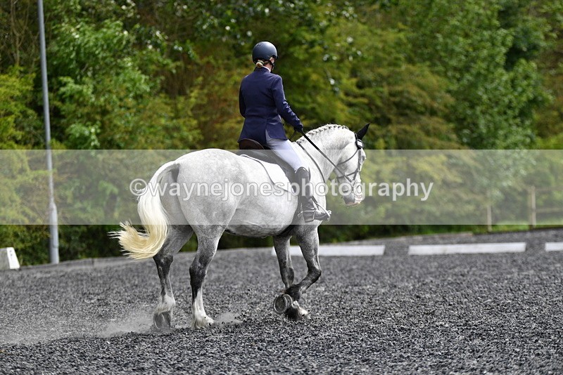 WJ5_2197 - Time 15:05 to 15:30