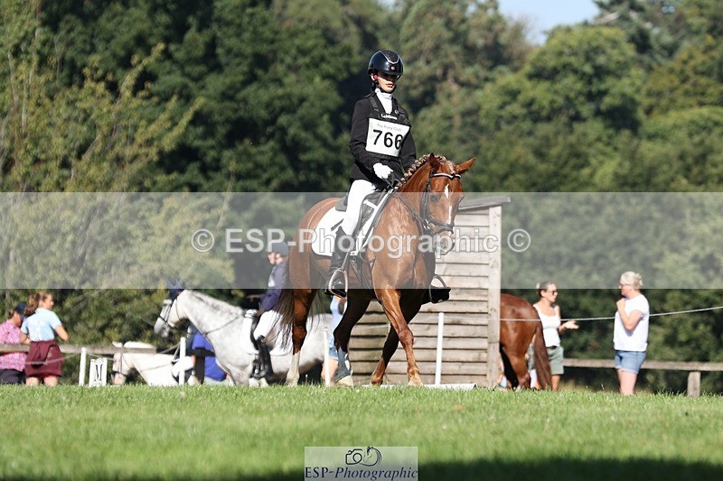 250823A-102252-26833 - Arena D