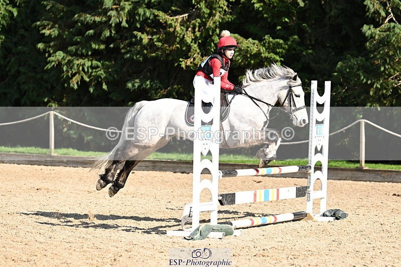 250302A-130017-02064 - Cls 02 80-85cm