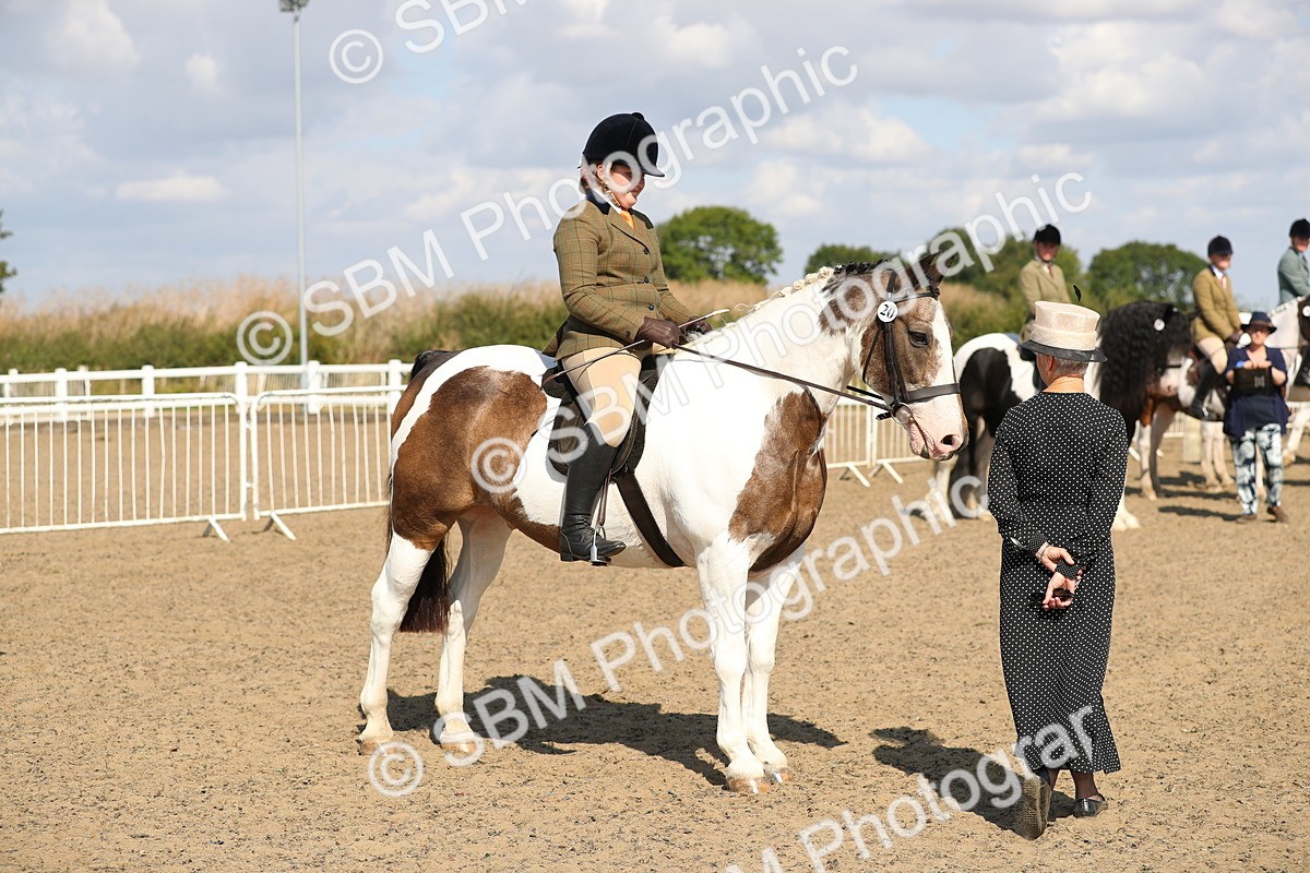 SBM_03210 - Class 44 Riding Club Horse/ Pony
