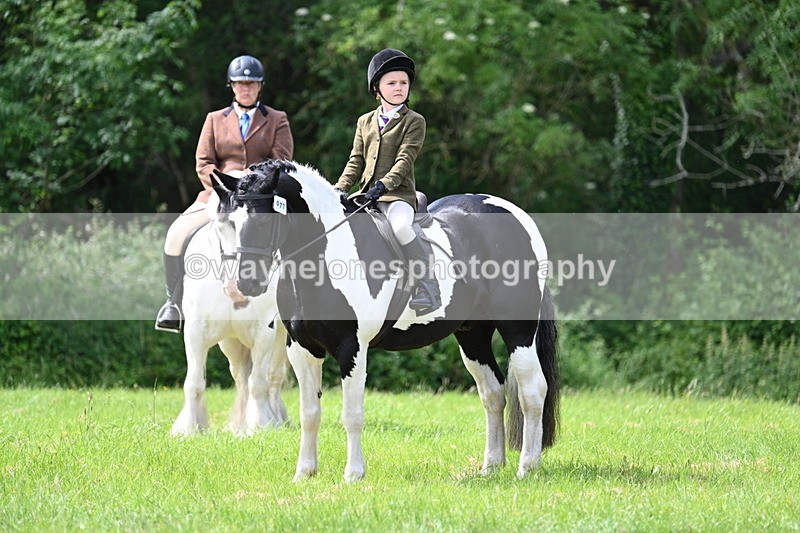 WJ7_1425 - Class 11 Condition & Turnout