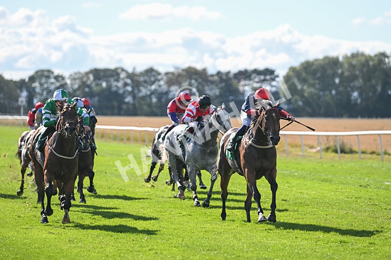 290825-Race 4-Eternal Sunshine-9014 - Race 4