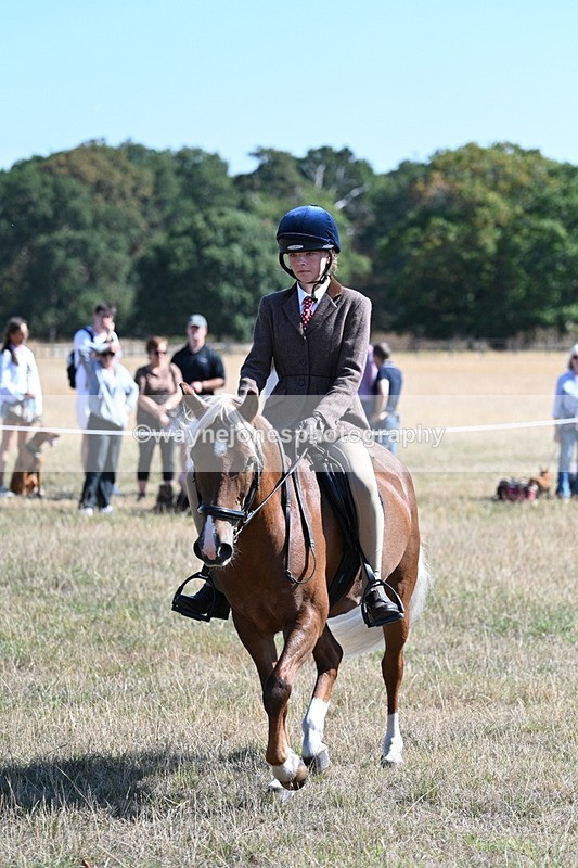 WJ7_4010 - Class 9 Mountain & Moorland Ridden